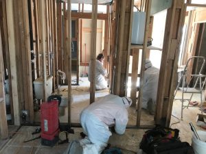 Mold-Remediation-removal