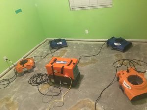 Drying Out A Bedroom During A Mold Removal Job