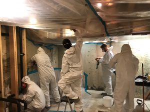 Restoration Team Working In A Flooded Basement