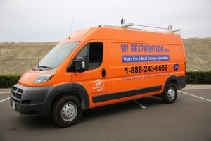 Water Damage and Mold Removal