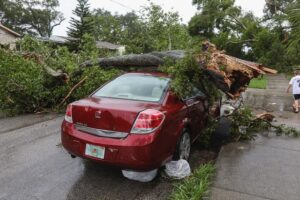 disastrous weather aftermath