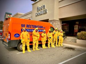 mold-removal-techs-business